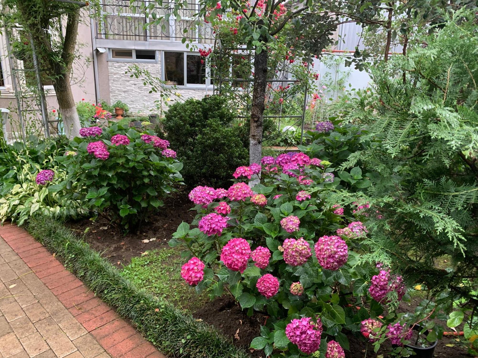 Guest House Smile Кобулети Екстериор снимка