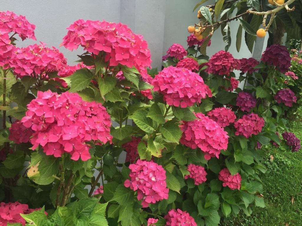 Guest House Smile Кобулети Екстериор снимка